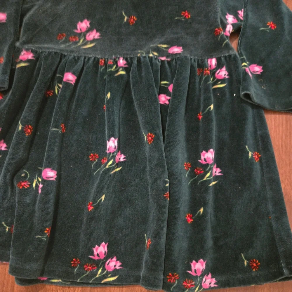 Baby Gap Toddler Girls Green Velvet Floral Long Sleeve Dress 2T‎ Holiday Tulip